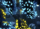 Illustration for article titled Review: The UnderGarden Is A Relaxing Dip In The Ocean